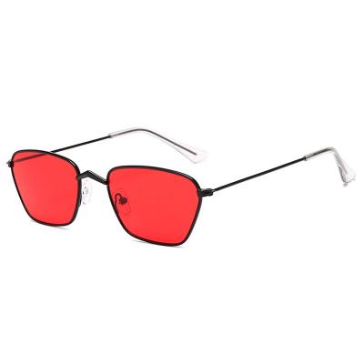 China Square Logo Vintage Sunglasses Trendy Custom Made Unisex Fashion PC Lens Small for sale