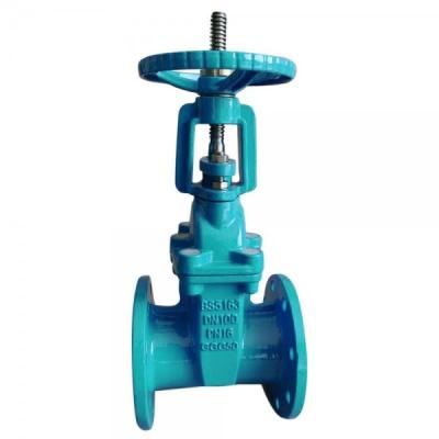 China Resilent seated rising stem gate valve for sale