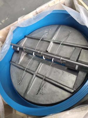 China Design Api 594 Industrial Retainerless  Ductile Cast Iron Wafer Dual Plate Non Return Check Valve for sale