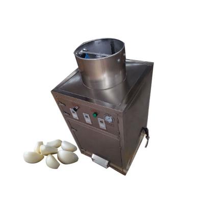 China Snack Factory Commercial Large Capacity Stainless Steel Automatic Dry Garlic Skin Peeling Processing Plant for sale