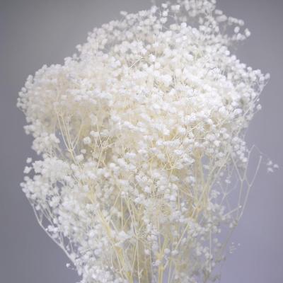 China Real Flower Wholesale 70cm Bleached Flowers Baby White Decorative Dry Breath Preserved Gypsophila for sale