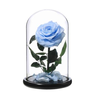 China Single Eternal Glass Nature Rose Preserved Rose Flower Long Lasting Forever Dome Rose in Glass Dome 12*20cm for sale