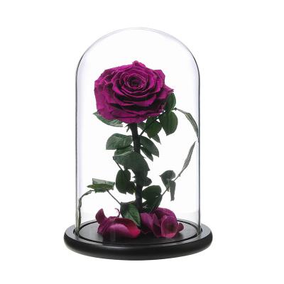 China 7-8cm Perfect Valentines Mothers Day Birthday Gifts Preserved Real Dry Eternity Roses in Glass Dome 12*20cm for sale