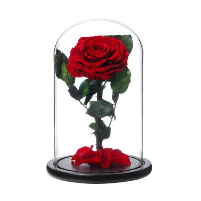 China Forever Roses In Bloom Glass Dome Preserved Roses Wedding Favor Party Favors For Valentines Day Gifts 12*20cm for sale