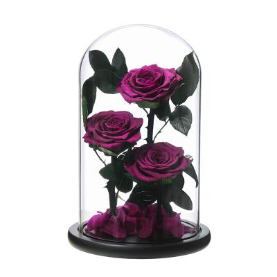 China Enchanted Gifts Luxurious Glass Dome Valentines Day Long Stem Preserved Forever Roses In Glass Dome 15*25cm for sale