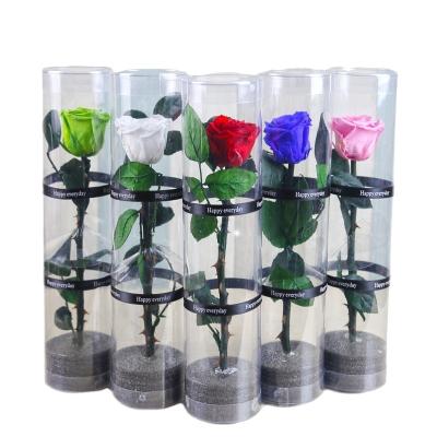 China wholesale real single stabilized preserved long stem red roses 30 cm in round pvc box for valentine gift D7.3*H31cm for sale