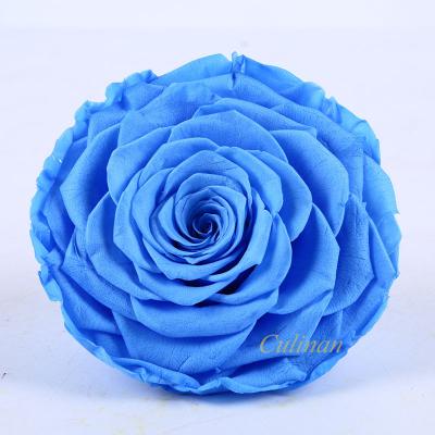 China Wholesale Freeze Dried Roses Supplier Preserved Rose Flowers Online Business 9-10cm Preserved Flower Rose For for sale