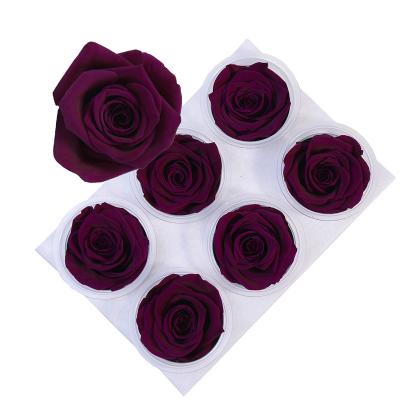 China Wholesale Preserved Eternal Initial Box Rose For Decoration Single Preserved Flower Supply 5-6Cm Flower Forever 5-6cm for sale