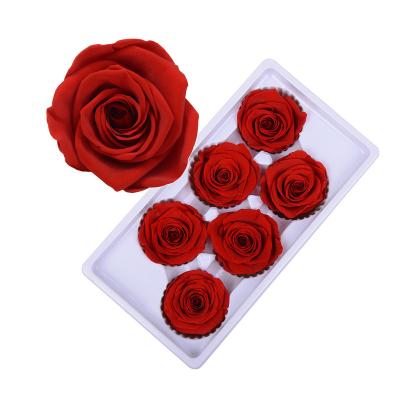 China Rose Head Eternal Flower Preserved Roses Best Grade Real Gold Natural Wholesale Size 5-6cm Decorative Flowers and Garlands 5-6cm for sale