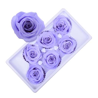 China Factory Wholesale Supply 5-6Cm Eternal Preserved Forever Preserved Roses Preserved Rose Flower Head 5-6cm for sale