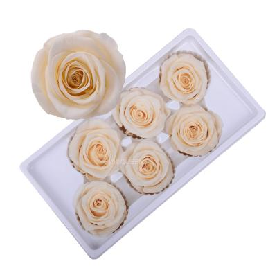 China Eternal Smell Flower Arrangement Supply 5-6Cm Blooming Preserved Rose 5-6cm for sale