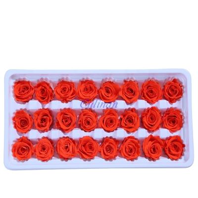 China Culinan Occasions All Eternal Flower 2-3Cm Eternal Red Rose For Wedding Decoration Preserved Immortal Decorative Crafts 4-5cm for sale