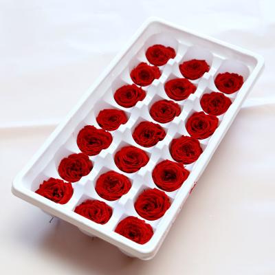 China Wholesale Natural Fresh Preserved Rose Manufacturers Rose Austin Chocolate Heart 21 Natural Roses 2-3cm Flower for sale