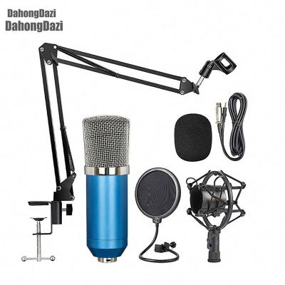 China Perfect Sound Microphone Studio Recording Music Equipment Professional Factory Condenser for sale