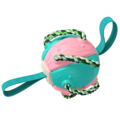 China Viable High Quality Sharp Interactive Dogs Toy Wholesale Dog Bite Toy Pet Toys Dog Throw Ball for sale