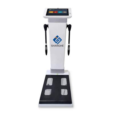 China Hot Spa Gym Center Need Body Composition Analyzer 3D Human-Body Elements Analysis Body Analyzer for sale