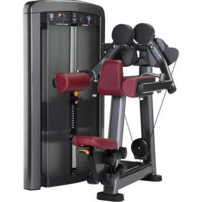 China Universal Professional Commercial Gym Equipment Lifefitness Delts Raise Side Gym Machine for sale