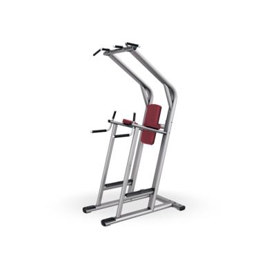 China Universal Home Gym Chin Dip Leg Raise Assisted Machine Multi Functional With High Quality for sale