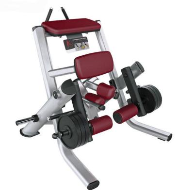 China New Use Life Fitness Strength Strength Training Bodybuilding Kneeling Leg Curl Flat Loaded Gym Machine for sale