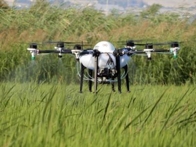 China 15 Liters Agricultural Pesticide Sprayer Drone for Crop Protection Tta M6apro Gyroplane for sale