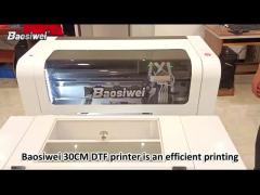 DTF Garment Printer 30cm 2pc i3200