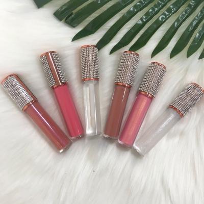 China Custom Vegan Private Label Waterproof And Cruelty Free Lip Gloss Wholesale Tube for sale