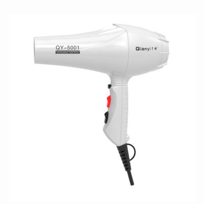 China New Design Ionic Private Label Hair Blow Dryer AC Motor Manufacturer 1800w Powerful Hotel Hair Dryer Professional Salon for sale