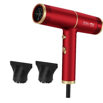 China DALING NEW MODEL Electric Professional Hair Ionic Dryer For Beauty Care And Drying Modern Thermostatic Anion 1200 W High Power for sale