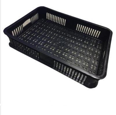 China Plastic pp vegetable and fruit use 600*400*100mm plastic basket for sale