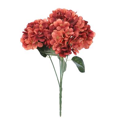 China DKB-G0301 wholesale price natural touch real touch silk artificial hydrangea decoration for sale for sale