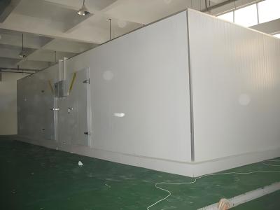 China 10m3-1000m3 Capacity Freezer Cold Room With LED Lighting Digital Temp Controller for sale