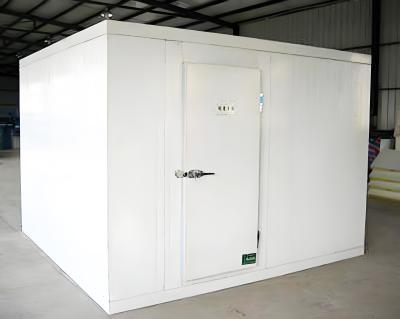 China Stainless Steel Freezer Cold Room 220V 380V With Temperature Alarm for sale