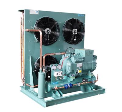 China Eco Friendly Cold Storage Compressor Customized For Food Processing Industrial for sale