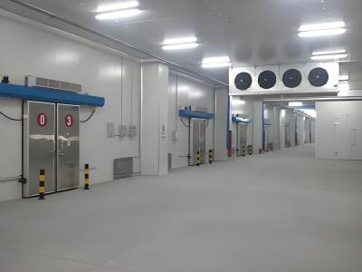 China Refrigeration Equipment Industrial Cold Room Manufacturing  for Vegetable Storage for sale