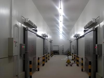 China Durable Bitzer Cold Room Freezer With Digital Temperature Controller for sale