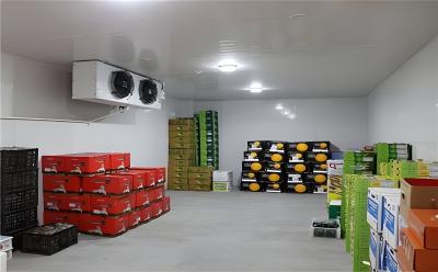 China Polyurethane Insulation Cold Storage Cold Room Container  Various Cooling Capacity for sale