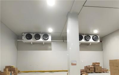 China Aço inoxidável / aço colorido Congelamento rápido Sala de armazenamento a frio 220V 380V 50Hz 60Hz à venda