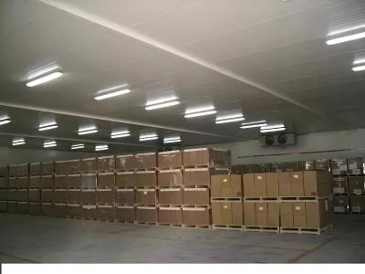 China Automatic Defrosting Industrial Cold Room Equipment For Any Size Steel Plate Cold Storage for sale