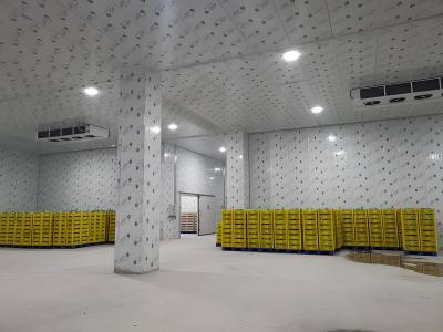 China Energy Saving Mobile Cold Storage System Stainless Steel Commercial Cold Storage Room for sale