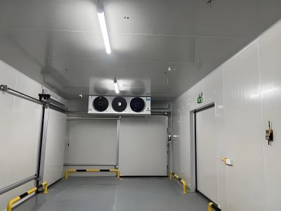 China Automatic Energy Saving Industrial Cold Room With PUR / PIR Core And Steel Plate for sale