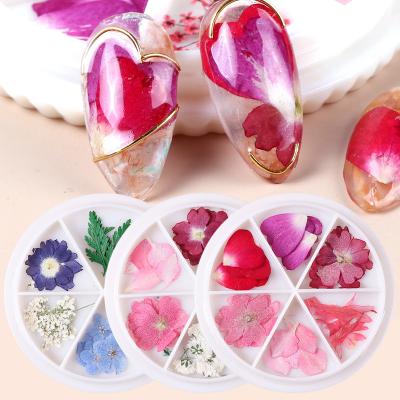 China Nail Art Boxed High Quality 3D Nail Art Dried Flowers Sticker Decoration Accessories Lace Blue Dried Flowers Nail Art for sale