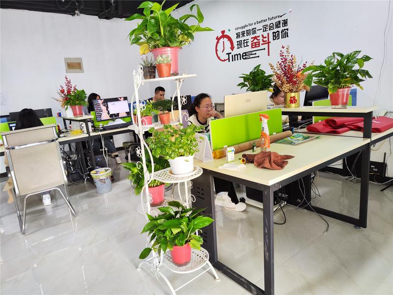 Verified China supplier - Zhengzhou Toyo Flower Trading Co., Ltd.