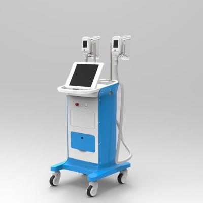 China Double cryolipolysis machine Cryolipolysis Cellulite Removal Machine for sale