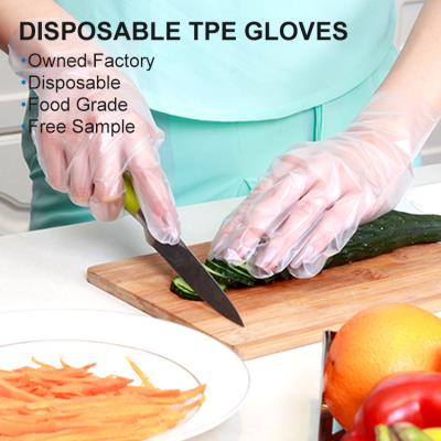 China 2022 Clearning OEM food grade polythehe glove band catering kitchen oil film elastic transparent CPE gloves high for sale