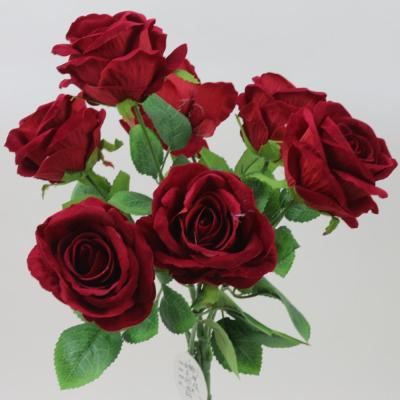 China Sell ​​Like Hot Cakes Flowers 7 Head Pilou Roses-40