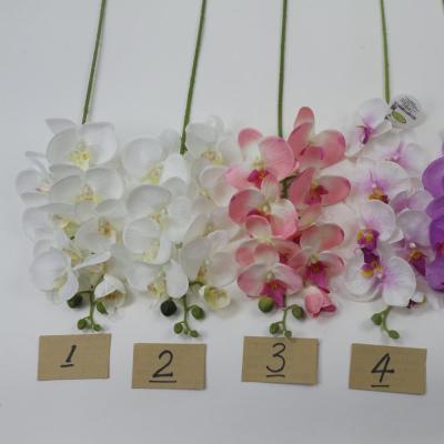 China Real Home Decor Touch Phalaenopsis Orchids-79