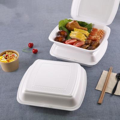 China Disposable Foam Lunch Box Hamburg Alternatives Disposable Hamburger Packing Box For Food Burger Fast Food Biodegradable Takeout Container for sale