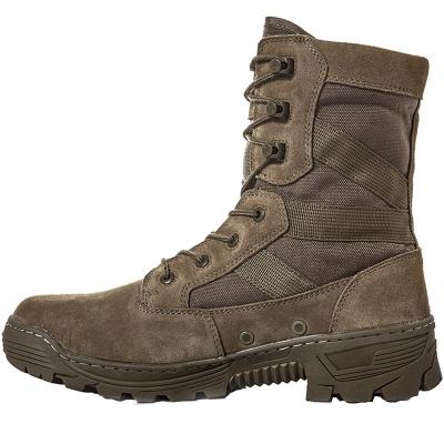 China 1000D nylon four seasons general outdoor travel high quality fashionable desert tactical boots hiking shoes for unisex boots for sale