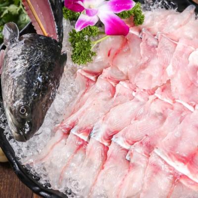 China Vitamins Wholesale Seafood Direct Supply Hidee Seafood Toman Snakehead Fish for sale