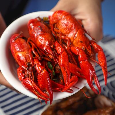 China FROZEN Cooked Crayfish Ready For Eat China Hotsale Product for sale